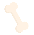 bone1