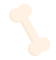 bone3