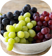 Safe Food Icon