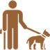 Dog Grooming Image