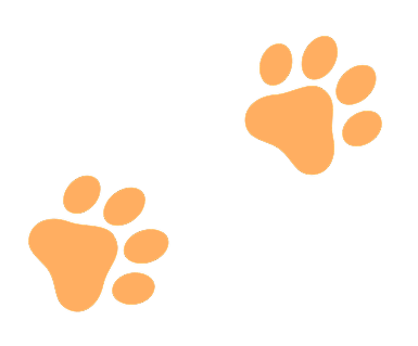 Paw