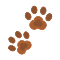 Paw