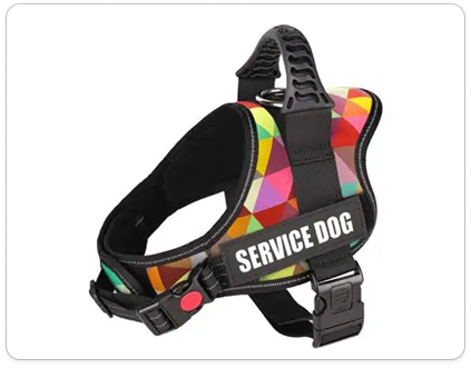 Outdoor Gear