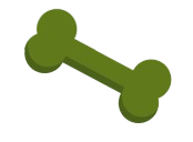 Bone