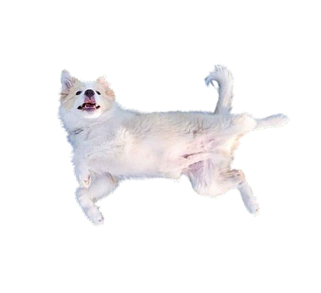 Rolling Over