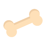 bone